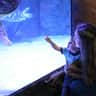 SEA LIFE Grapevine Aquarium