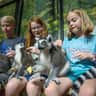 Houston Aquarium & Animal Adventure