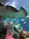 SEA LIFE Kansas City