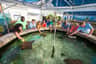 Key West Aquarium