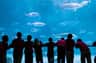 Audubon Aquarium