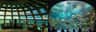 Seattle Aquarium