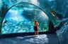 Lotte World Aquarium Hanoi